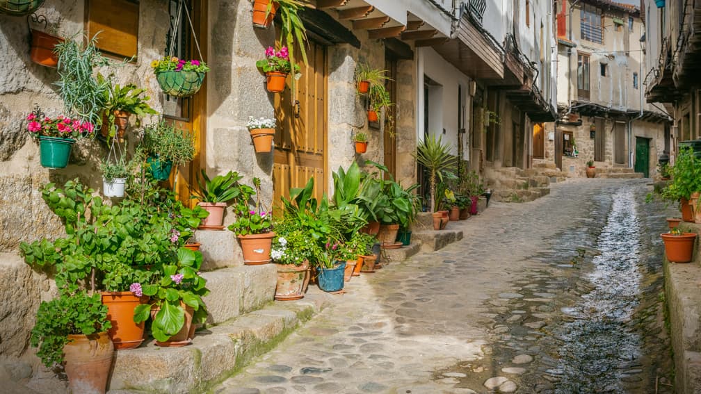 san-martin-de-trevejo